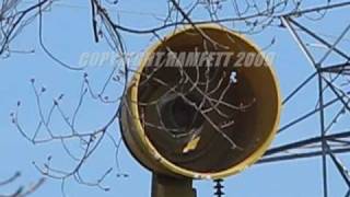 P50T135AC Tornado Siren Alert amp Attack Test West Allis WI 40809 [upl. by Anevad]