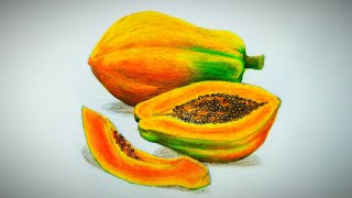 Papaya and slices drawing and pencil coloring tutorial  Freehand drawing  Realistic drawing [upl. by Weslee]