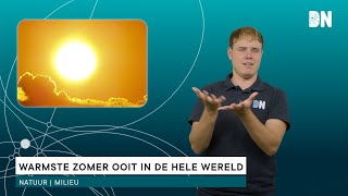 Warmste zomer ooit in de hele wereld [upl. by Reuven]