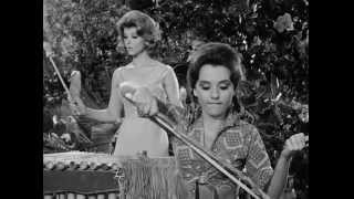 Gilligans Island 1964 Biography Mary Ann [upl. by Luhem]