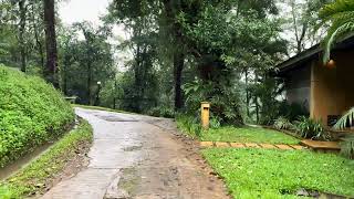 Ayatana Coorg  Luxury amidst natures adobe 4k roadtrip coorg ayatana celebration nature [upl. by Eznyl]