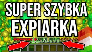 Jak zbudować expiarke w MINECRAFT 1164 [upl. by Esimaj]