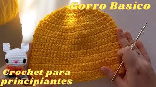 Gorro para gatos a crochet 😻  Tutorial Base [upl. by Dewees]