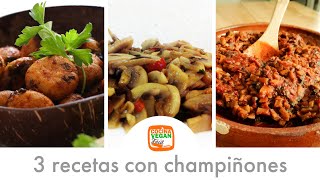 3 recetas con champiñones  Cocina Vegan Fácil [upl. by Elidad596]