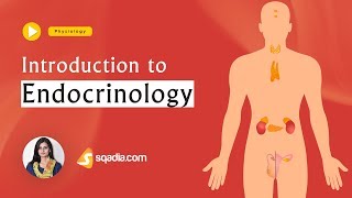 Introduction to Endocrinology  Physiology Lectures Education  VLearning  sqadiacom [upl. by Zilef]