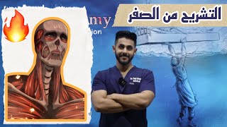 L1 Introduction to Upper limb anatomy P1 شرح بالعربي [upl. by Gemini]