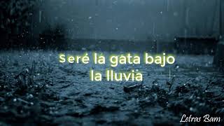 La gata bajo la lluvia letra  Rocio Durcal [upl. by Aicxela]