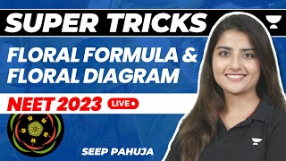 Floral Formula and Floral Diagram  Super Tricks  NEET 2023  Seep Pahuja [upl. by Ermentrude]