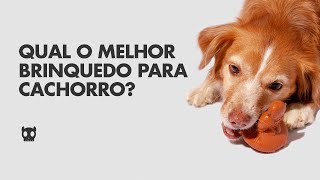 QUAL O MELHOR BRINQUEDO PARA CACHORRO  ZEEDOG TV 001 [upl. by Arriet]