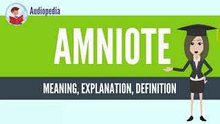 What Is AMNIOTE AMNIOTE Definition amp Meaning [upl. by Eelatan584]