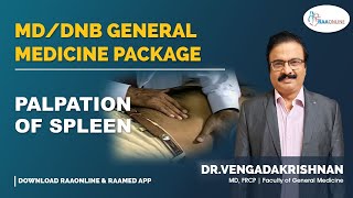 Palpation of Spleen  MDDNB General Medicine [upl. by Eimmac196]