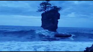 Waves crash on a solo rock with tree at Punta de Manzanillo Beach in Limon Costa Rica [upl. by Katonah745]