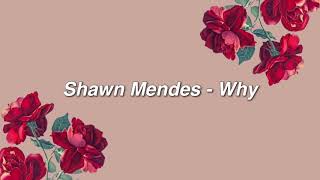 Shawn Mendes  Why lyrics [upl. by Ardnwahs]