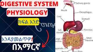 DIGESTIVE SYSTEM PHYSIOLOOGY PART 1 IN AMHARICGI PHYSIOLOGY MADE EASY [upl. by Henry]