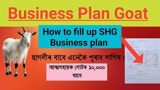 ছাগলীৰ বাবে Business plan  How to fill up SHG Business plan  Goat business Plan [upl. by Rolfston883]