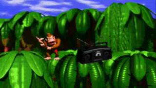 Donkey Kong Country intro [upl. by Iahk]