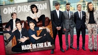 5 Best Songs From One Directions quotMade In The AMquot [upl. by Suryc]