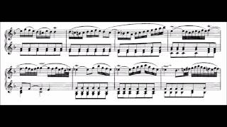 Adagio BWV 974 Alessandro MarcelloJ S Bach [upl. by Navi]