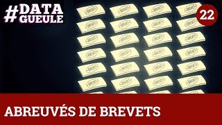 Abreuvés de brevets  DATAGUEULE 22 [upl. by Neirol]