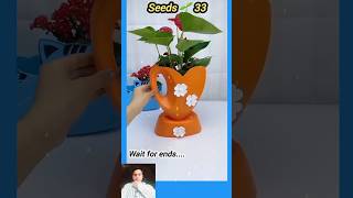 Bottle craft garden idea  বতোল বাগান seedsplants33 shorts garden craft Bottle bottlegarden [upl. by Kotz392]