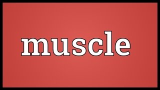 Muscle Meaning [upl. by Ydiarf]