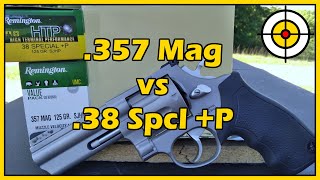 Is There REALLY Any Difference 357 Magnum vs 38 Special P Ballistic Gel Testing [upl. by Mcfarland]