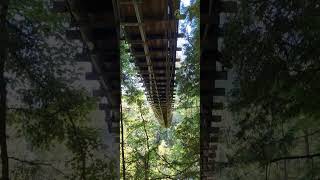 Capilano Bridge in Vancouver [upl. by Beckie44]