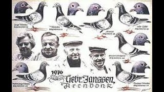 Racing Pigeon History  The Janssen Brothers [upl. by Karel]