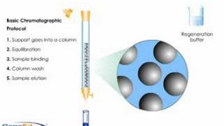 Column Chromatography [upl. by Dinerman]