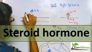 Steroid hormone mechanism of entry [upl. by Ashok]