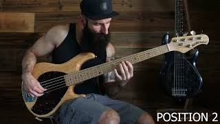 Erykah Badu  Penitentiary Philosophy Bass Cover [upl. by Merton]