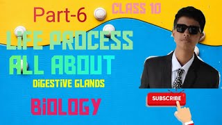 Part6Life processClass 10Digestive glands BIOLOGY [upl. by Anama]