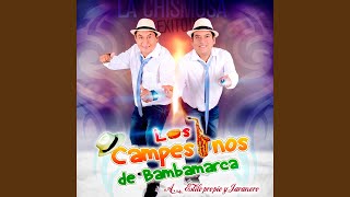 Ven a Bailar Con los Campesinos [upl. by Drud]