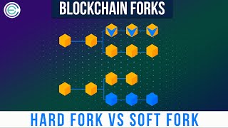 What are Blockchain Forks Hard Fork Vs Soft Fork  Cryptela [upl. by Eitnom87]