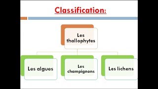 les thallophytes cours de biologie végétale [upl. by Aihseuqal208]