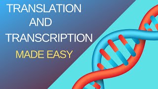 Eukaryotic Transcription ELONGATION  pTEFb recruitment and CTD phosphorylation [upl. by Rob51]