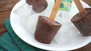 Easy 3 Ingredient Fudgsicles Recipe  How to Make Homemade Fudge Bars [upl. by Ritchie44]