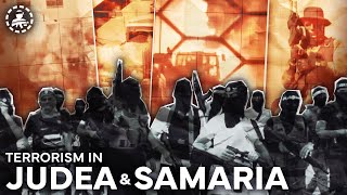 Our Ongoing Precise Operation in Northern Samaria [upl. by Danita]