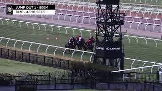 Flemington Jump Outs 5 August 2024 Jump Out 1 [upl. by Utimer823]