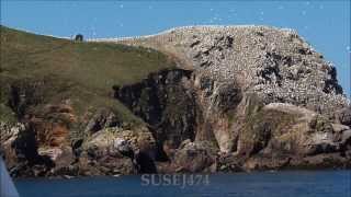 LARCHIPEL DES SEPT ILES  LA COTE DE GRANIT ROSE A PERROSGUIREC en bateau été 2014 [upl. by Notsew126]