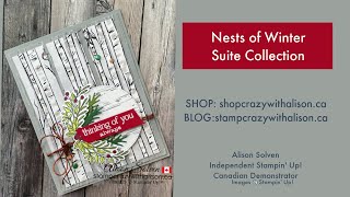 Nests of Winter Suite Collection with Stamp Crazy with Alison [upl. by Yanarp]