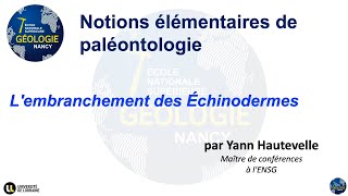 Notions élémentaires de paléontologie  Lembranchement des Échinodermes par Yann Hautevelle [upl. by Henry510]