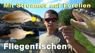 Mit Streamer auf Forellen angeln  Fliegenfischen  Fischen auf Forellen am Bach mit Streamer [upl. by Feodor]