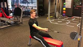 Unilateral Seated Cable Row [upl. by Liebman]