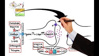 Pharmacology  DRUGS FOR PARKINSONS DISEASE MADE EASY [upl. by Belia]