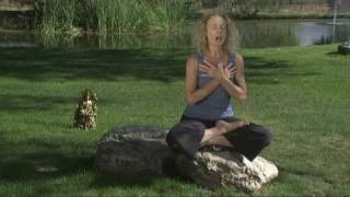 LifeForce Yoga® Centering Meditation for SelfAcceptance with Amy Weintraub [upl. by Panchito521]