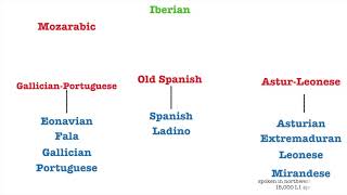 Italic Languages Family Tree [upl. by Emelia]