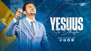 Yesuus In Dhufa  Ifa Desisa  New Afaan Oromo Live Worship  EJAJI CRUSADE  araratvworldwide ​ [upl. by Celka]