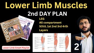 Lower Limb Muscles Anatomy Leg amp Sole Compartments  Complete HNML Lower Limb Guide  Final Part 2 [upl. by Hailee]