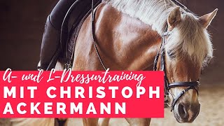 Training für A und LDressur mit Christoph Ackermann [upl. by Nemlaz]